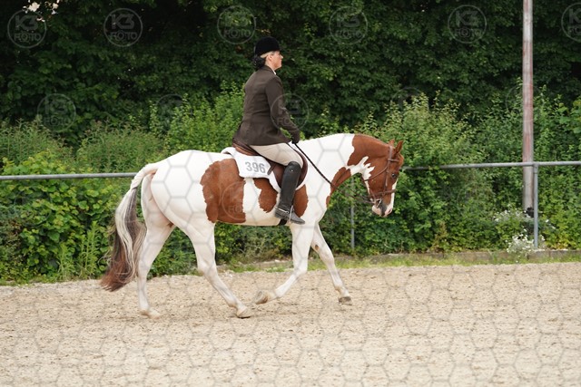 sA9K09985.JPG